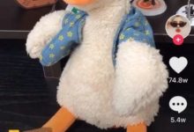 零投入抖音销量轻松破万,拍摄仅需几十秒!这样的爆款你舍得错过吗? - 策幻网