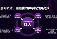 双11来了,品牌如何做好私域战略布局? - 策幻网