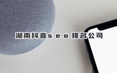 湖南抖音seo排名公司