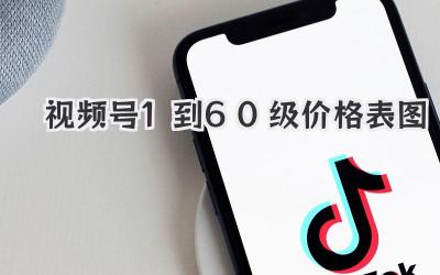 視頻號(hào)1到60級(jí)價(jià)格表圖