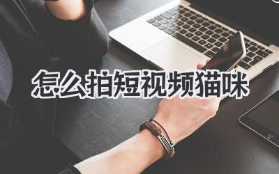 怎么拍短視頻貓咪