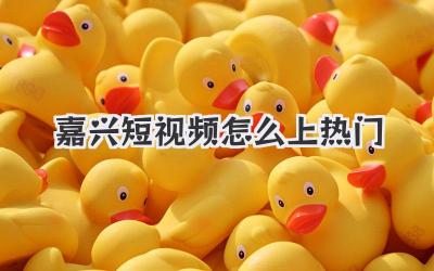 嘉兴短视频怎么上热门 - 策幻网